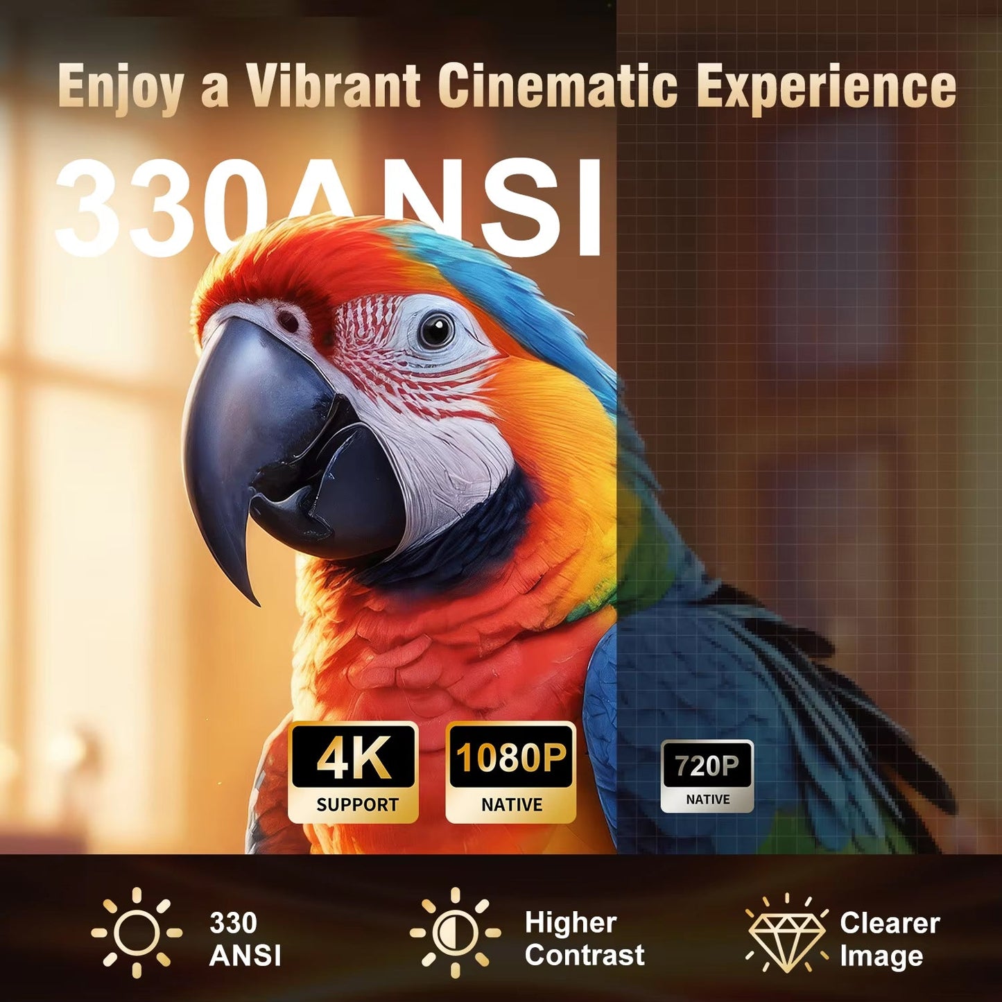 CineHomi