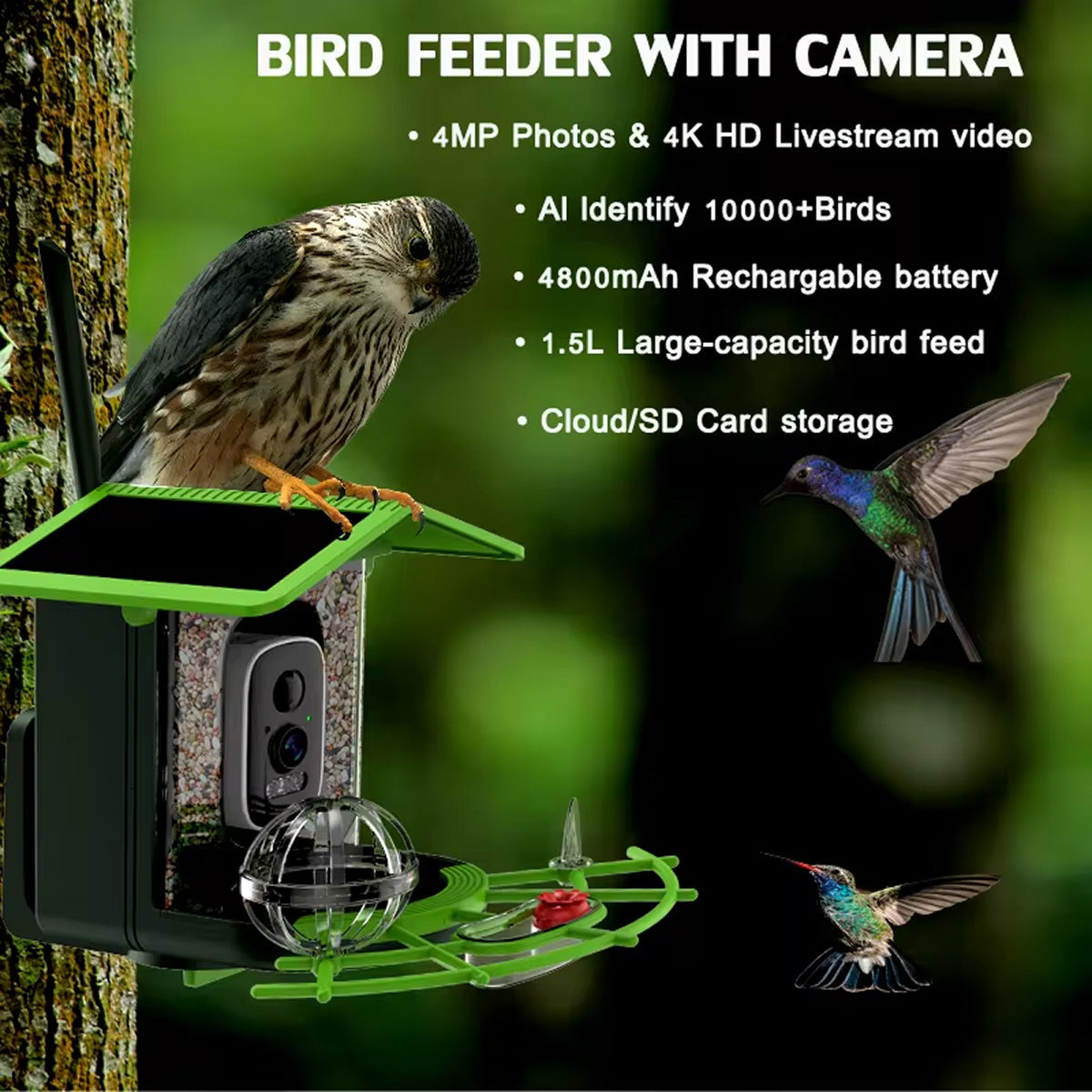 DasFonix Smart Bird Feeder Camera – 2K 4MP AI Species Identification, 5G WiFi & Solar Powered
