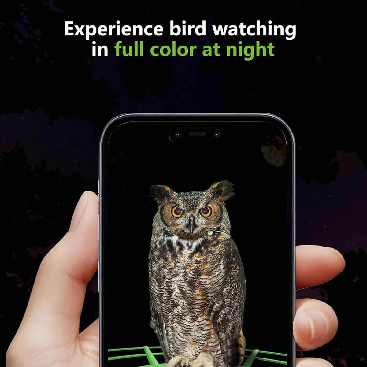 DasFonix Smart Bird Feeder Camera – 2K 4MP AI Species Identification, 5G WiFi & Solar Powered