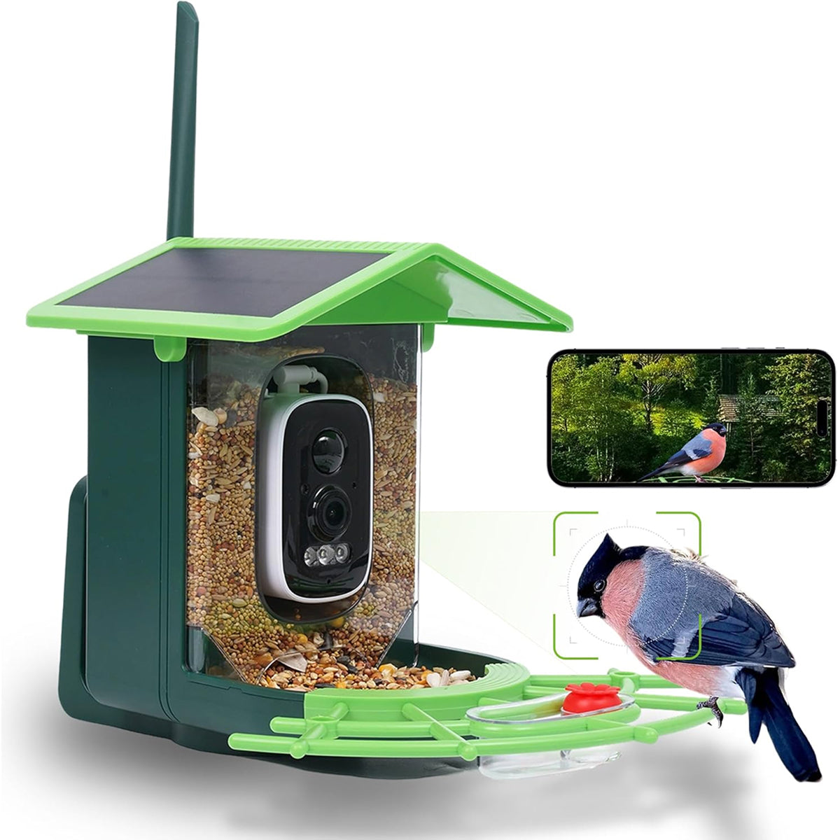 DasFonix Smart Bird Feeder Camera – 2K 4MP AI Species Identification, 5G WiFi & Solar Powered