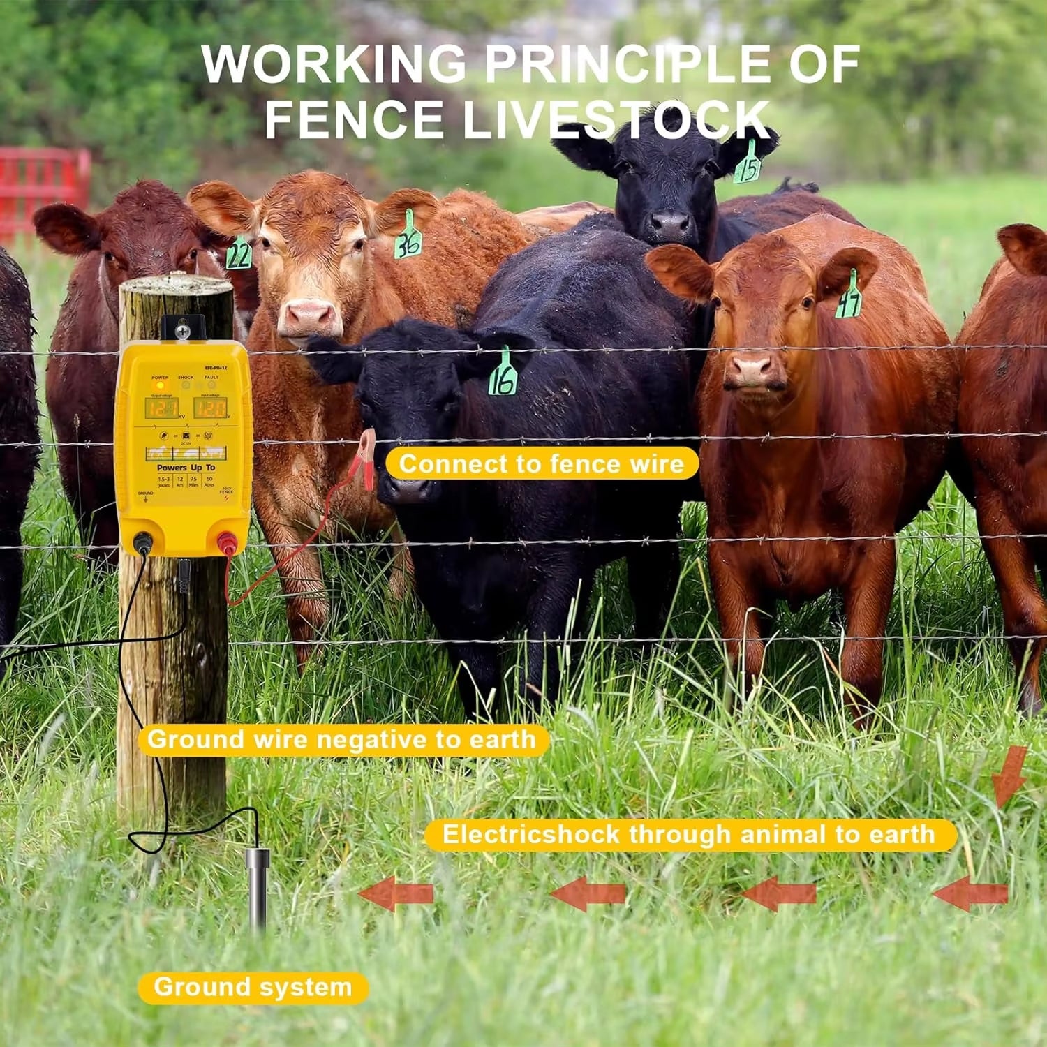 FeciLaxi 12km High-Voltage Electric Fence Energiser