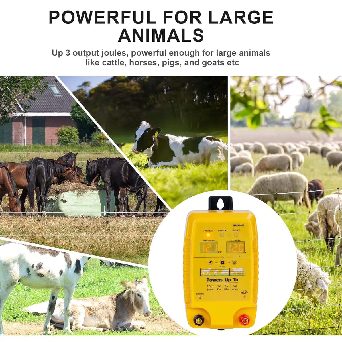 FeciLaxi 12km High-Voltage Electric Fence Energiser