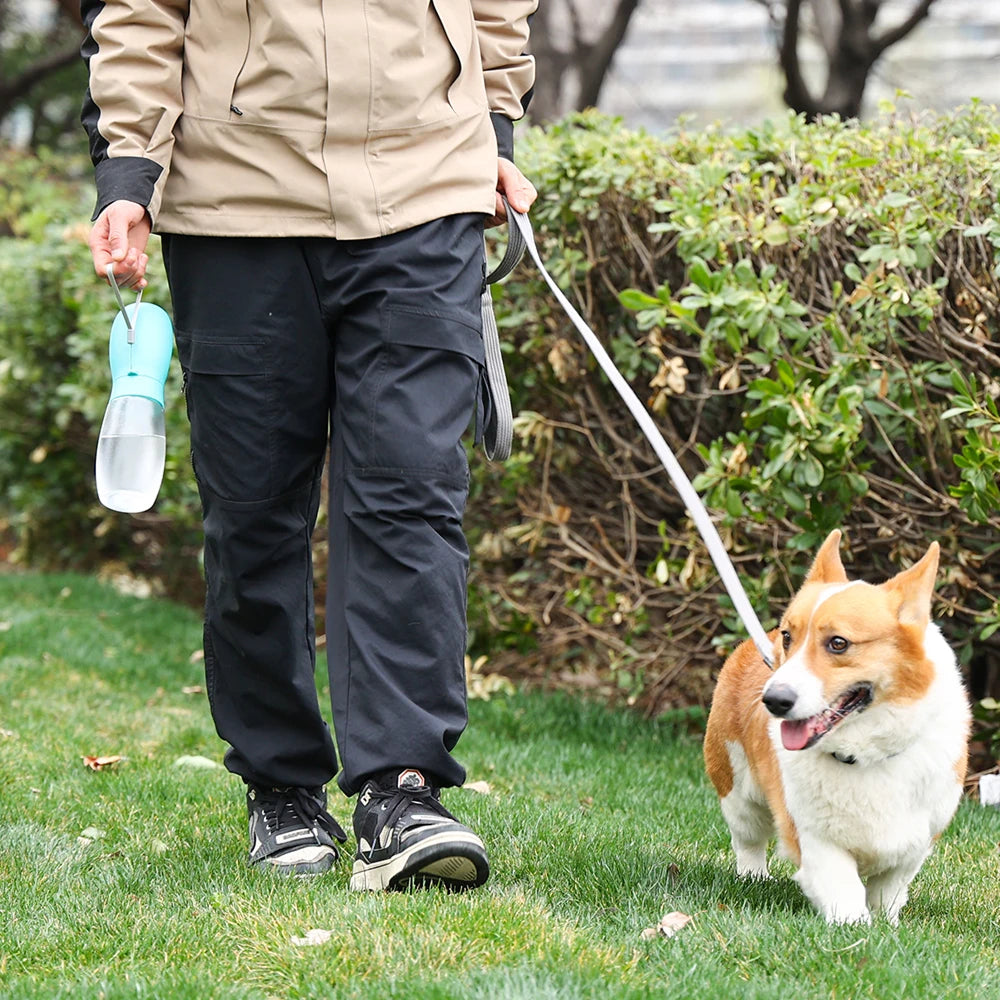 FopetCare