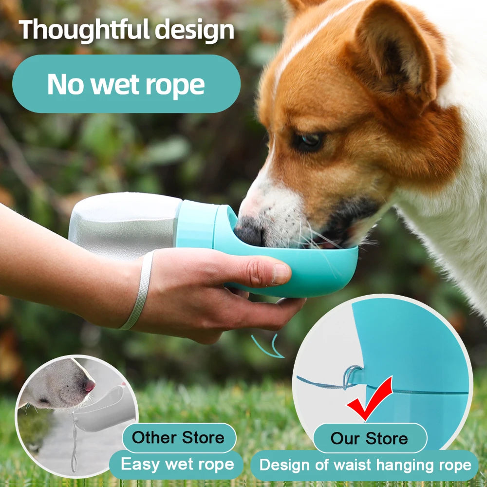 FopetCare