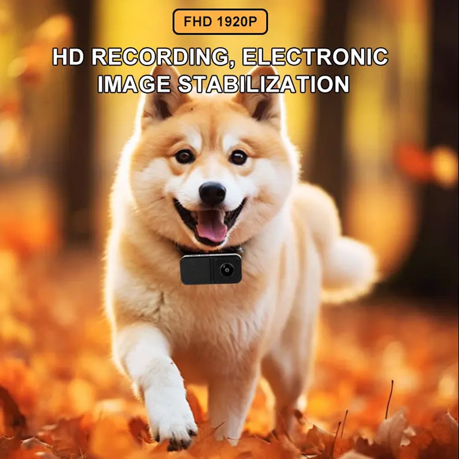 KITTITREK 1080P HD Pet Camera with 160° Wide-Angle Fisheye Lens, 120-Minute Battery and 256GB Micro SD Support