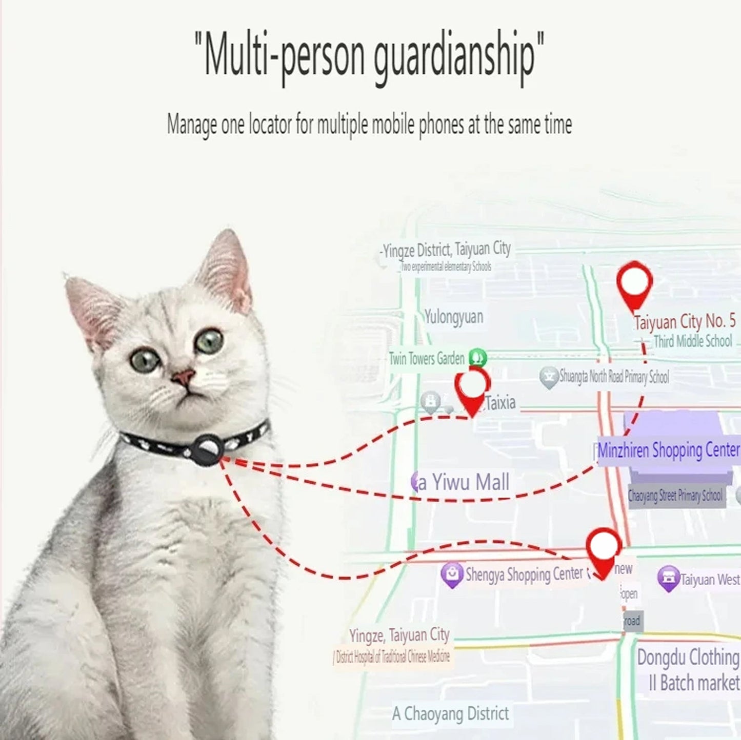MeowMapi