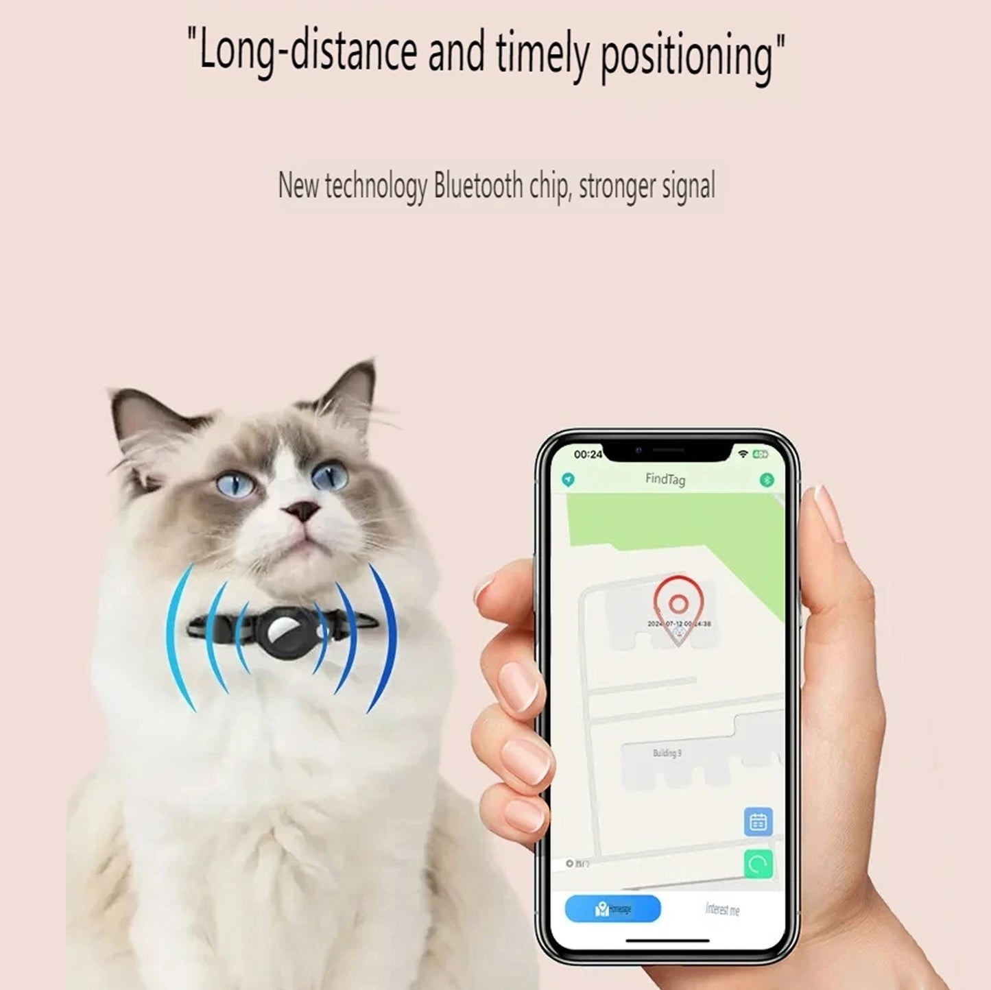 MeowMapi