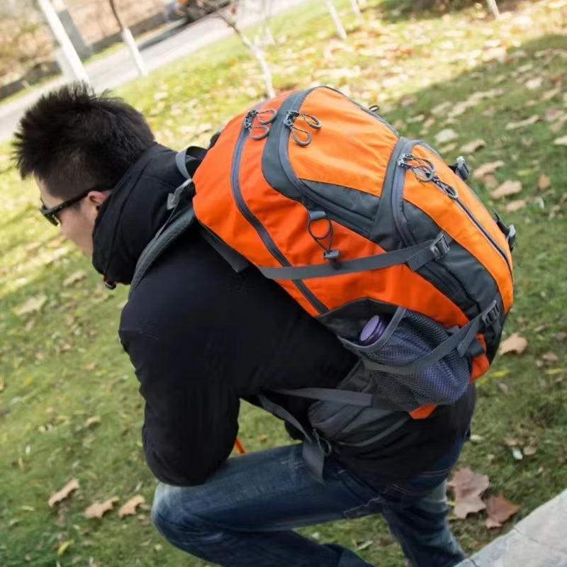 VedroPesa