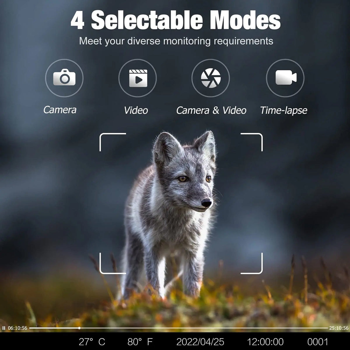 WildiZoom Professional-Style 4K Video And 30MP Photography with Real-Time 4G